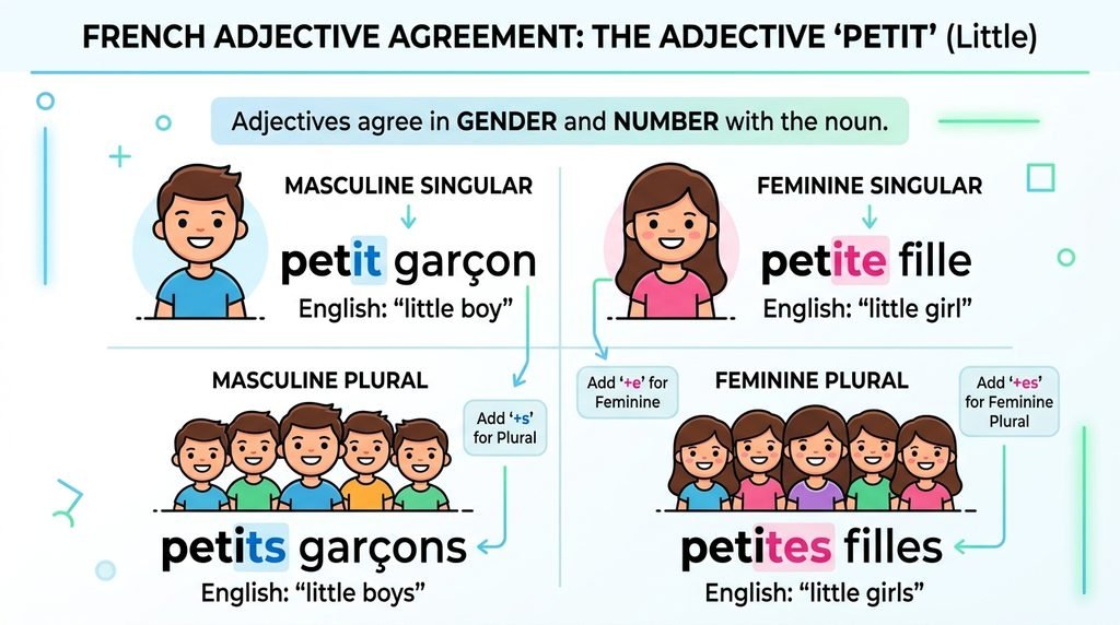 French Grammar Explanation